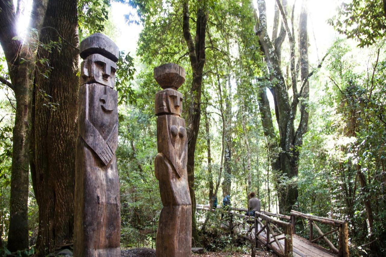 Vila Huilo Huilo Reino Fungi Puerto Fuy Exteriér fotografie